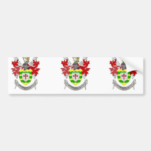 County Donegal, Ireland Bumper Sticker
