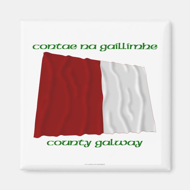County Galway Colours Magnet (Front)