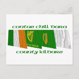 County Kildare Flags Postcard