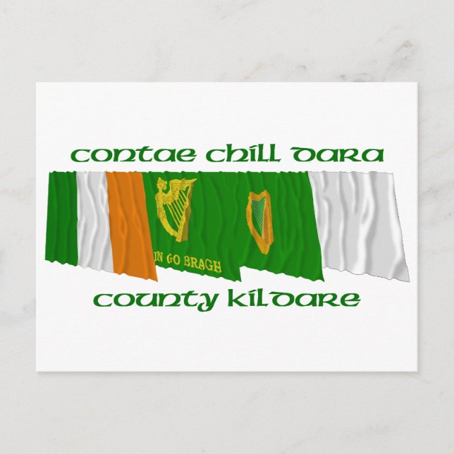 County Kildare Flags Postcard (Front)