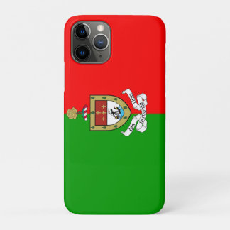 County Mayo iPhone 11 Pro Case