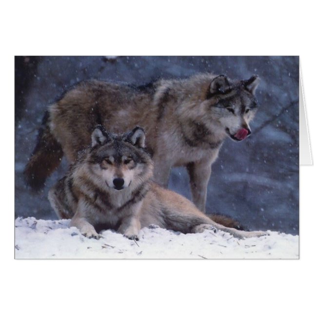 Couple (Front Horizontal)