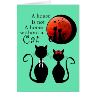 Couple Cats in the home