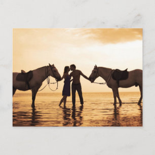 Couple Horses Postcard