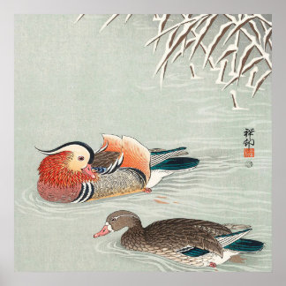 Couple Mandarin Duck Design | Ideal Gift   Poster