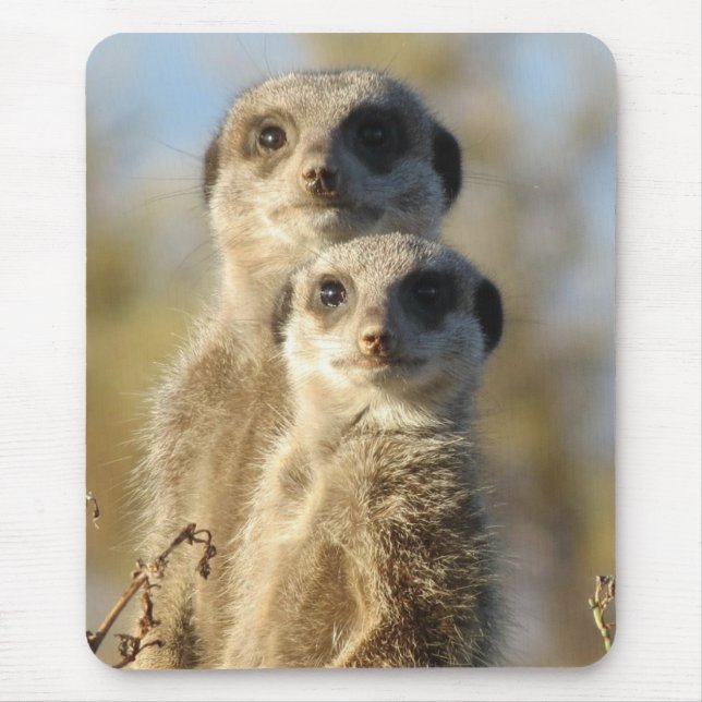 Couple of Meerkats Cute Photo Mouse Mat (Front)