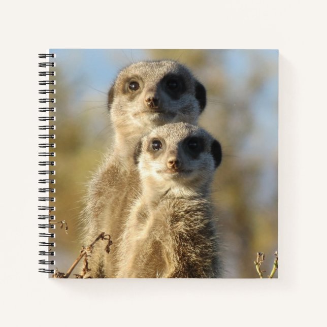 Couple of Meerkats Cute Photo Notebook (Front)