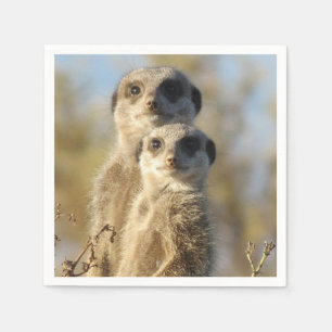 Couple of Meerkats Photo Napkin