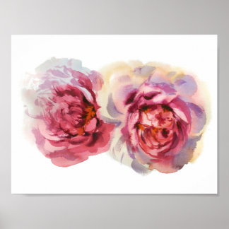 couple of peonies poster