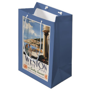 Couple Overlooking Coast Railway Poster Medium Gift Bag