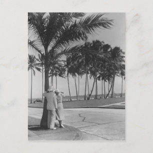 Couple standing at palm tree Rear view B&W Postcard