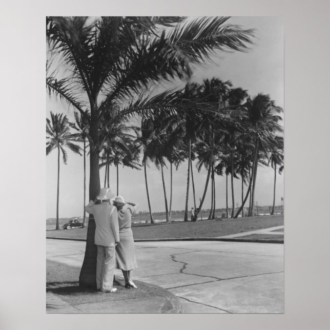Couple Standing Under Tree Poster (Front)