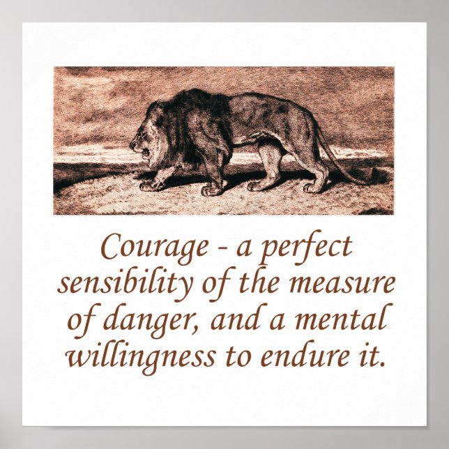 Courage A Perfect Sensibility Poster (Front)