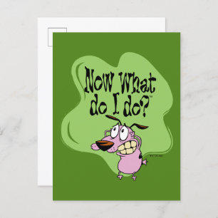 Courage the Cowardly Dog Now What Do I Do? Postcard