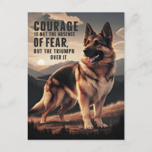 Courageous German Shepherd at Sunset Postcard