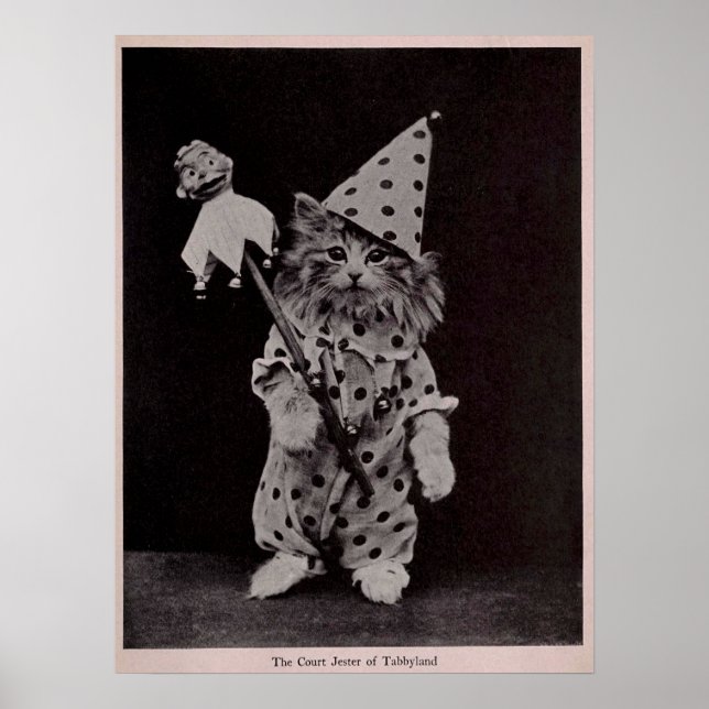 Court Jester of Tabblyland Cat Vintage Photo Poster (Front)