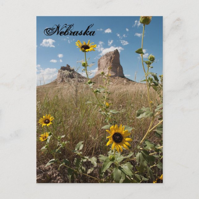 Courthouse and Jail Rock, Nebraska Postcard (Front)