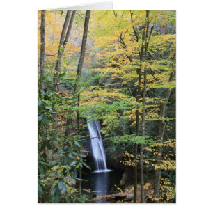 Courthouse Falls
