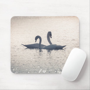 Courting Swans Mouse Mat