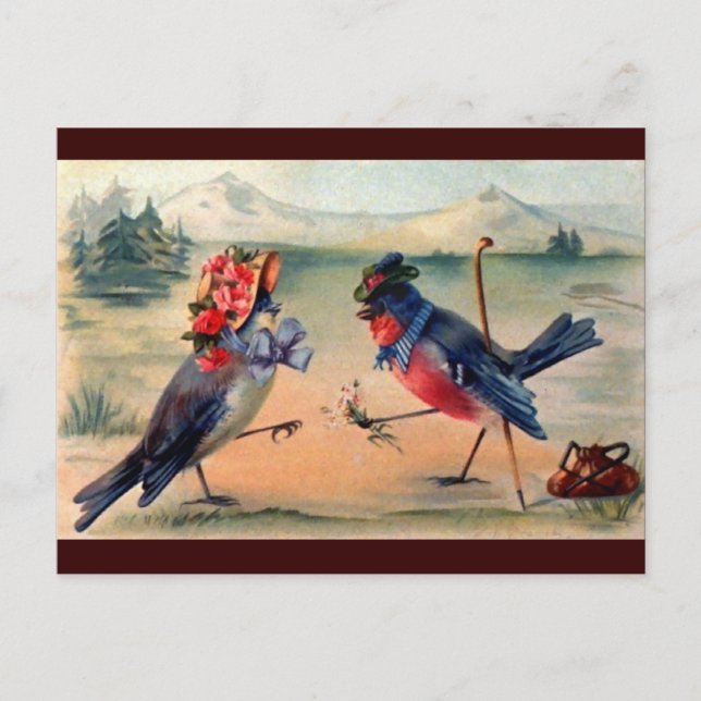 Courtship of Birds Postcard (Front)