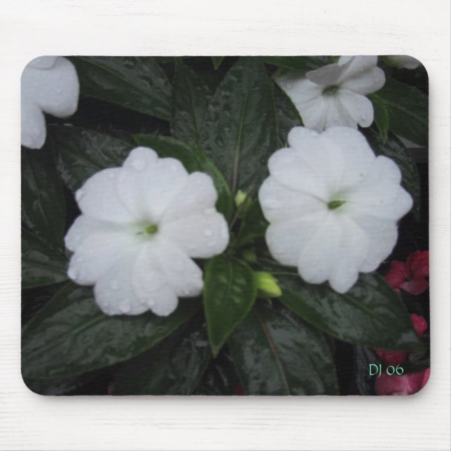 Courtyard blooms, DJ 06 Mouse Mat (Front)