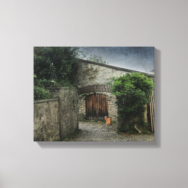 Courtyard Cat Canvas Print (Front)