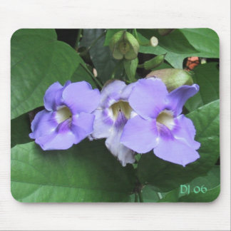 Courtyard flowers, DJ 06 Mouse Mat