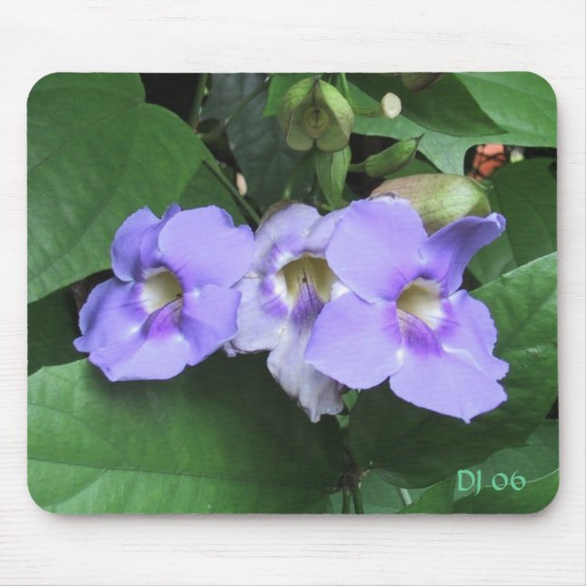Courtyard flowers, DJ 06 Mouse Mat (Front)
