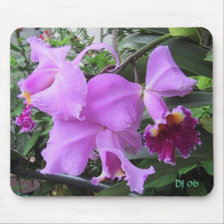 Courtyard Flowers, DJ 06 Mouse Mat