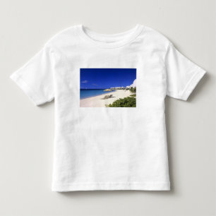 Cove Castles Villas, Shoal Bay West, Anguilla Toddler T-Shirt