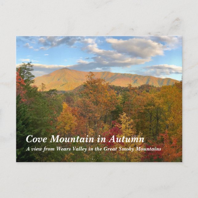 Cove Mountain in the Great Smoky Mountains Postcard (Front)