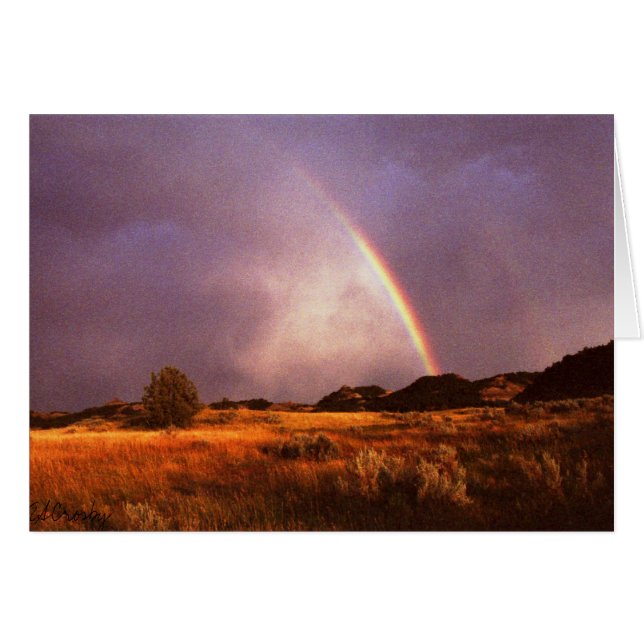 Covenant (Front Horizontal)