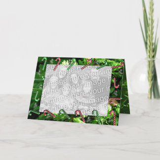 [ Cover Image ], Candy Canes Border Holiday Card