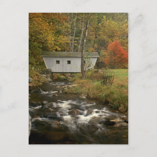 Covered Bridge Foliage Kent Falls State Park Postcard
