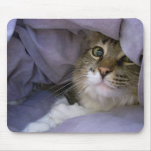 Covered Kitty Mousepad