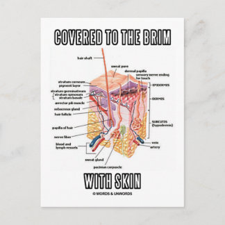 Covered To The Brim With Skin (Skin Layers) Postcard