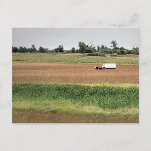 Covered Wagon at Laura Ingalls Wilder Homestead Postcard