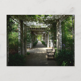Covered Walkway Postcard