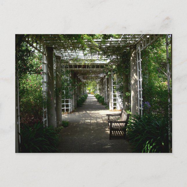 Covered Walkway Postcard (Front)