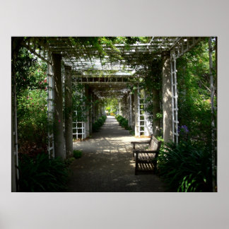 Covered Walkway Poster