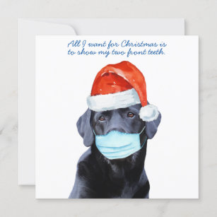 Covid Face Mask Funny Quarantine Dog Holiday Card