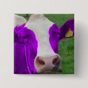 cow 15 cm square badge