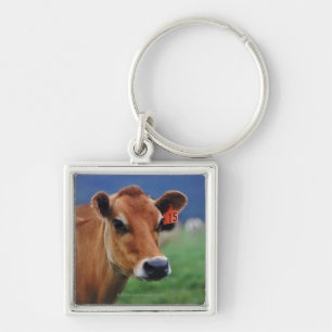 cow 2 key ring