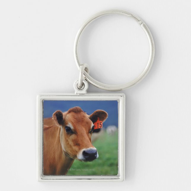 cow 2 key ring (Front)
