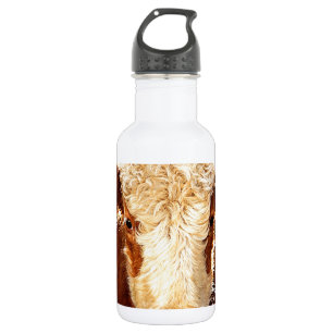 Cow 532 Ml Water Bottle