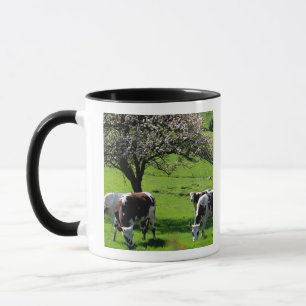 Cow among blooming apple trees in Normandy Mug