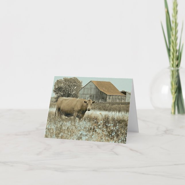 Cow and Barn - Blank Card (Front)