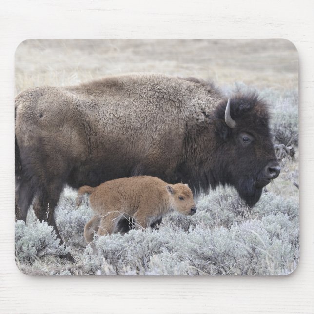 Cow and Calf Bison, Yellowstone Mouse Mat (Front)