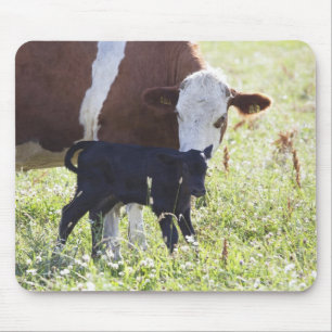Cow and calf mouse mat