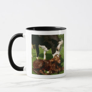 Cow and newborn calf mug
